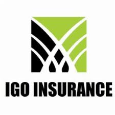 IGO Insurance logo